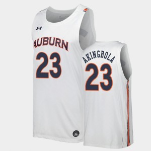 Men's Auburn Tigers Replica White Babatunde Akingbola #23 Jersey 784537-894