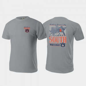 Men's Auburn Tigers Pride of the South Gray Comfort Colors T-Shirt 491774-230